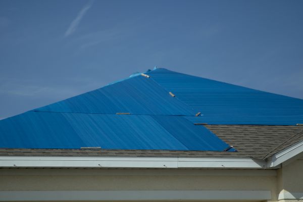 Tarp Installation Service
