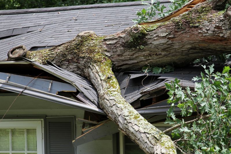 Asphalt Roofing Service in Boston, MA